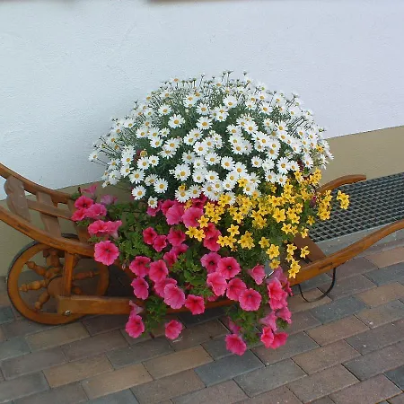 Haus Waldmann